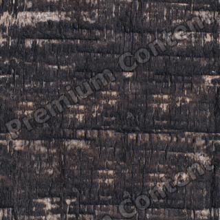 Seamless Wood 0027